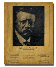 Thoughts from Theodore Roosevelt